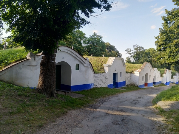 Wine cellars Plže